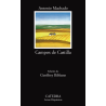 CAMPOS DE CASTILLA