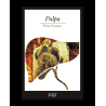 PULPA