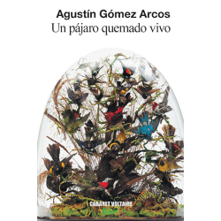 UN PAJARO QUEMADO VIVO