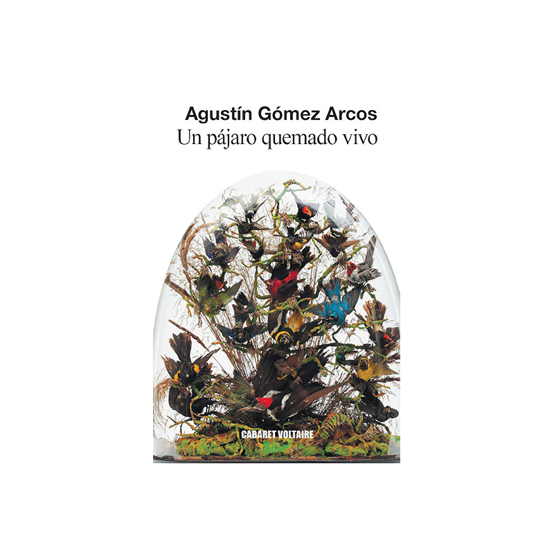 UN PAJARO QUEMADO VIVO