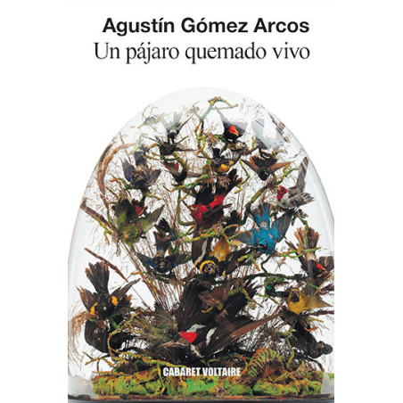 UN PAJARO QUEMADO VIVO