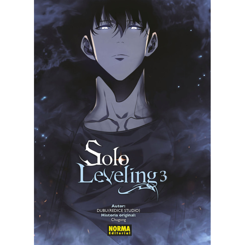 SOLO LEVELING 3