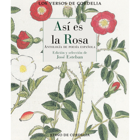 ASI ES LA ROSA