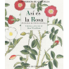 ASI ES LA ROSA