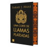 UNA CORTE DE LLAMAS PLATEADAS